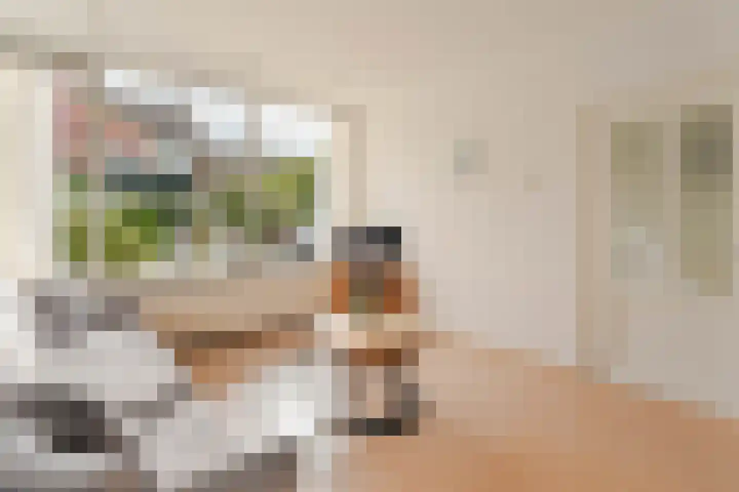 Prinses Margrietstraat 10 Waddinxveen thumbnail 10