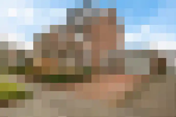 Prinses Margrietstraat 11 Genemuiden thumbnail 11