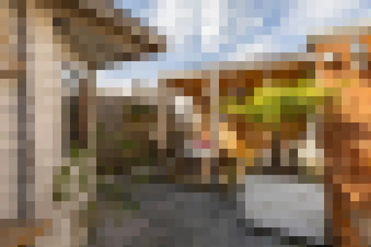 Prinses Margrietstraat 13 Groningen thumbnail 28