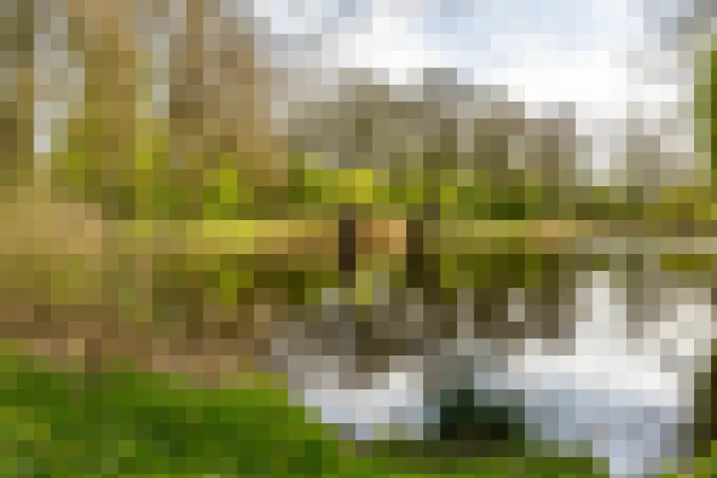 Prinses Margrietstraat 13 Groningen thumbnail 30