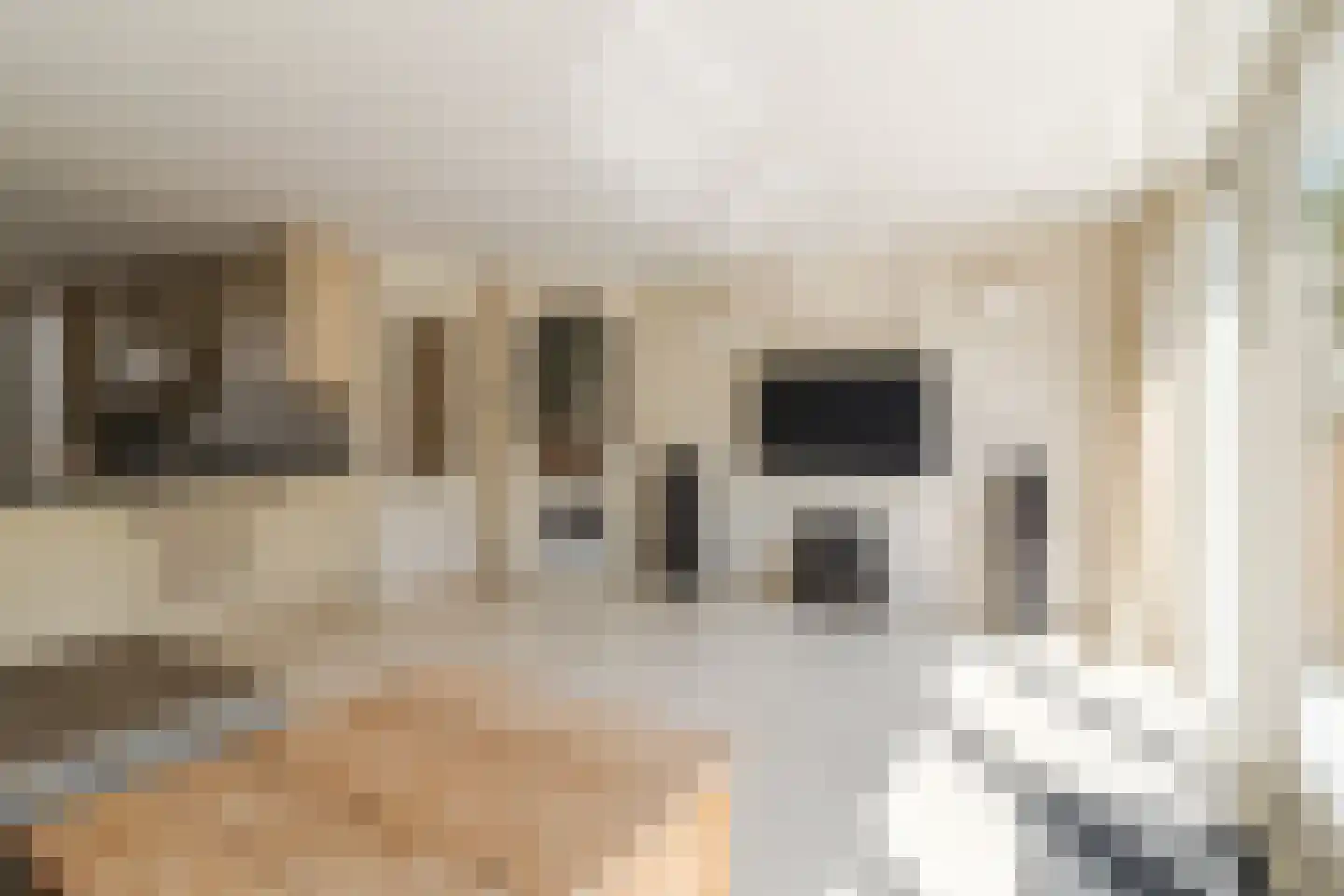Prinses Margrietstraat 13 Koudekerk aan den Rijn thumbnail 11