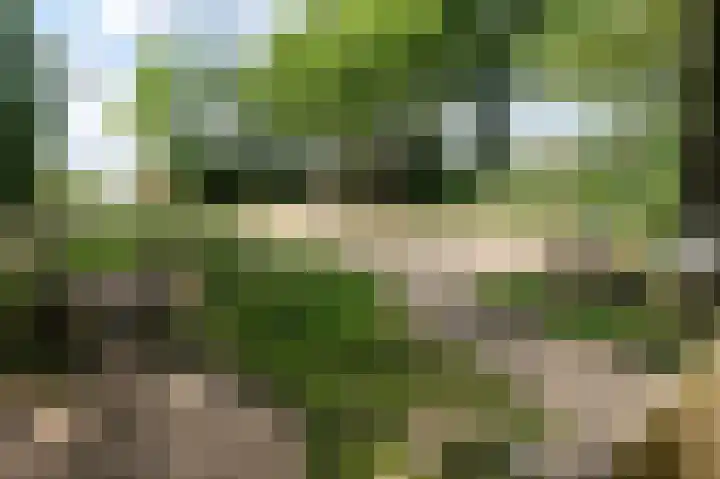 Prinses Margrietstraat 2 g Woudenberg thumbnail 17