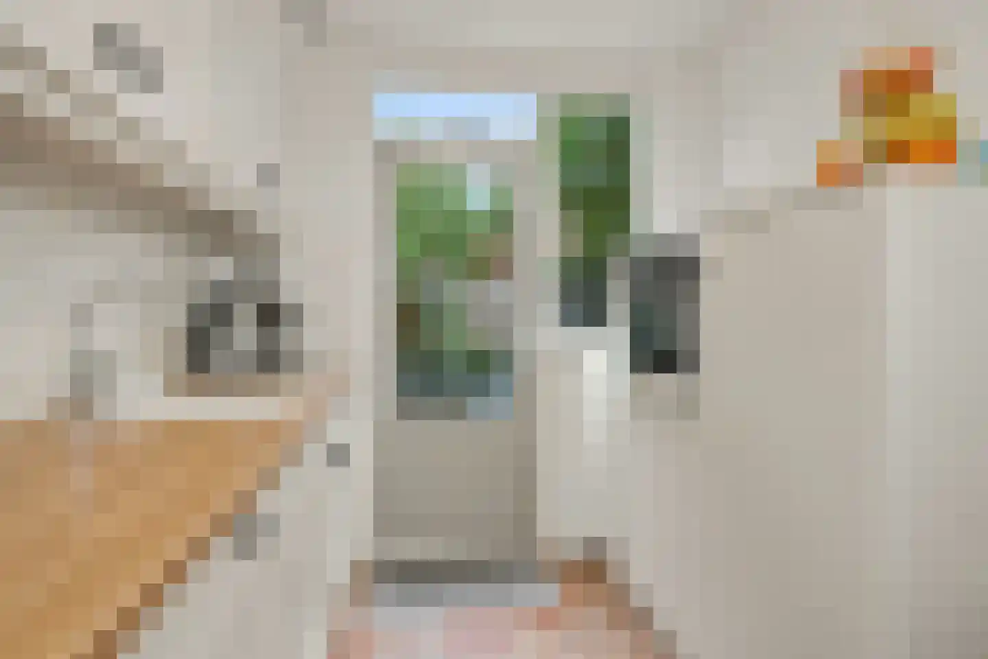 Prinses Margrietstraat 2 Rosmalen thumbnail 12