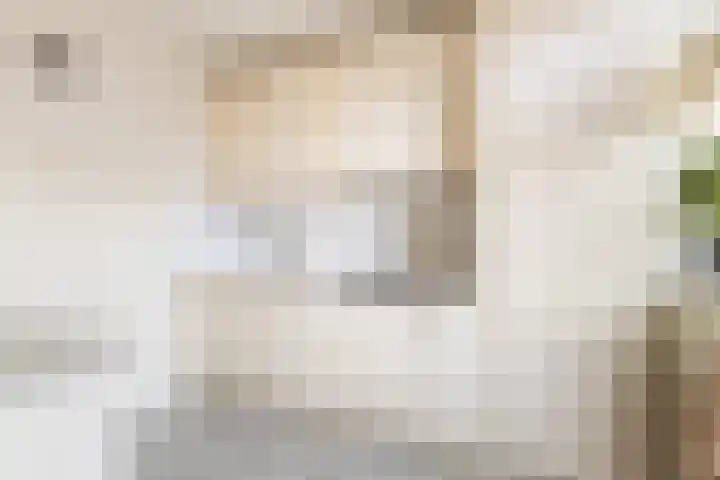 Prinses Margrietstraat 2 Waarder thumbnail 11