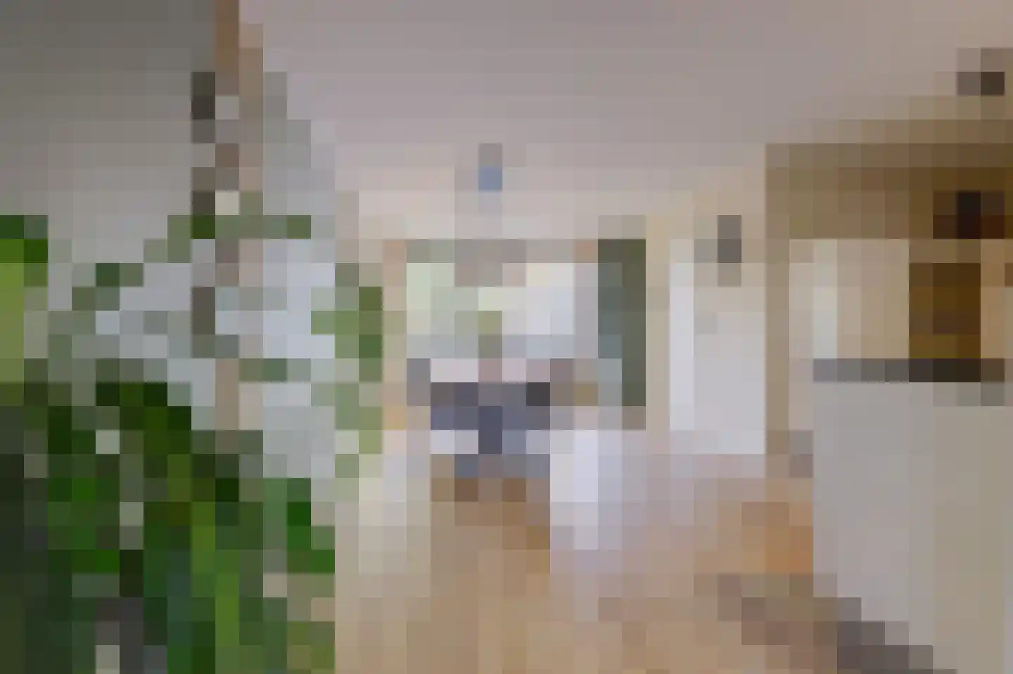 Prinses Margrietstraat 2 Waddinxveen thumbnail 13