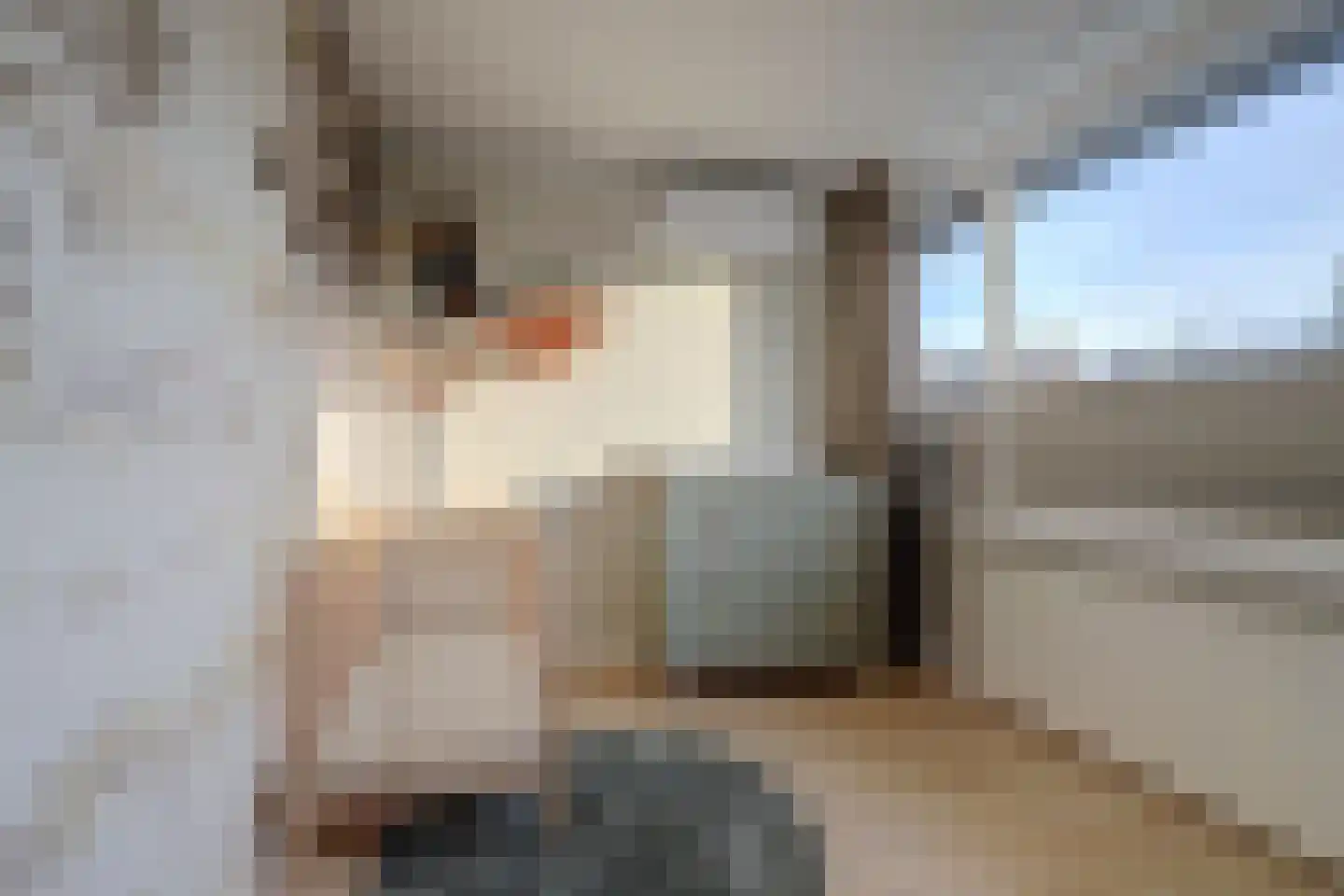 Prinses Margrietstraat 2 Waddinxveen thumbnail 22