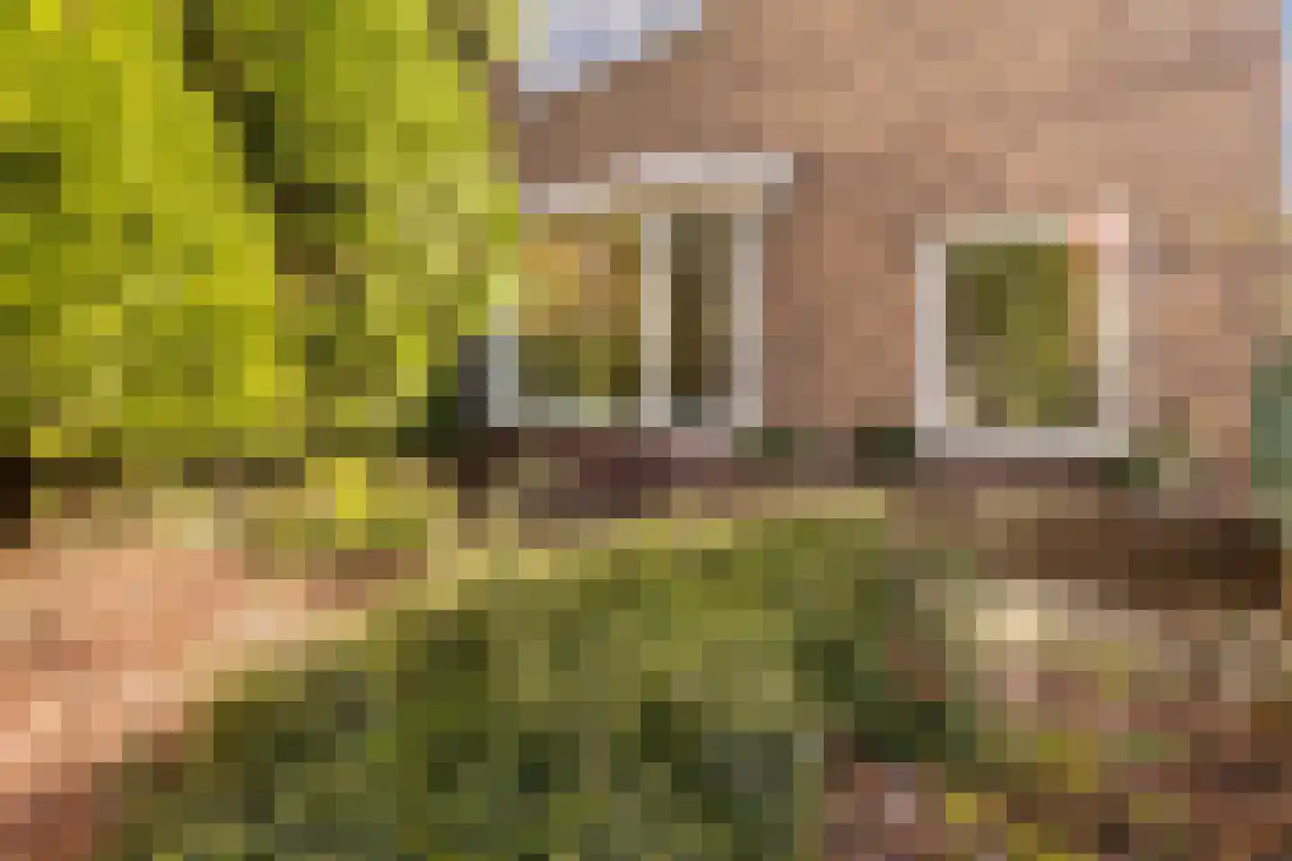 Prinses Margrietstraat 209 Utrecht thumbnail 8