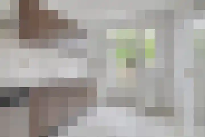 Prinses Margrietstraat 27 Hooge Zwaluwe thumbnail 6