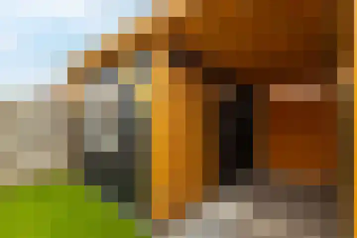 Prinses Margrietstraat 29 Meerkerk thumbnail 30