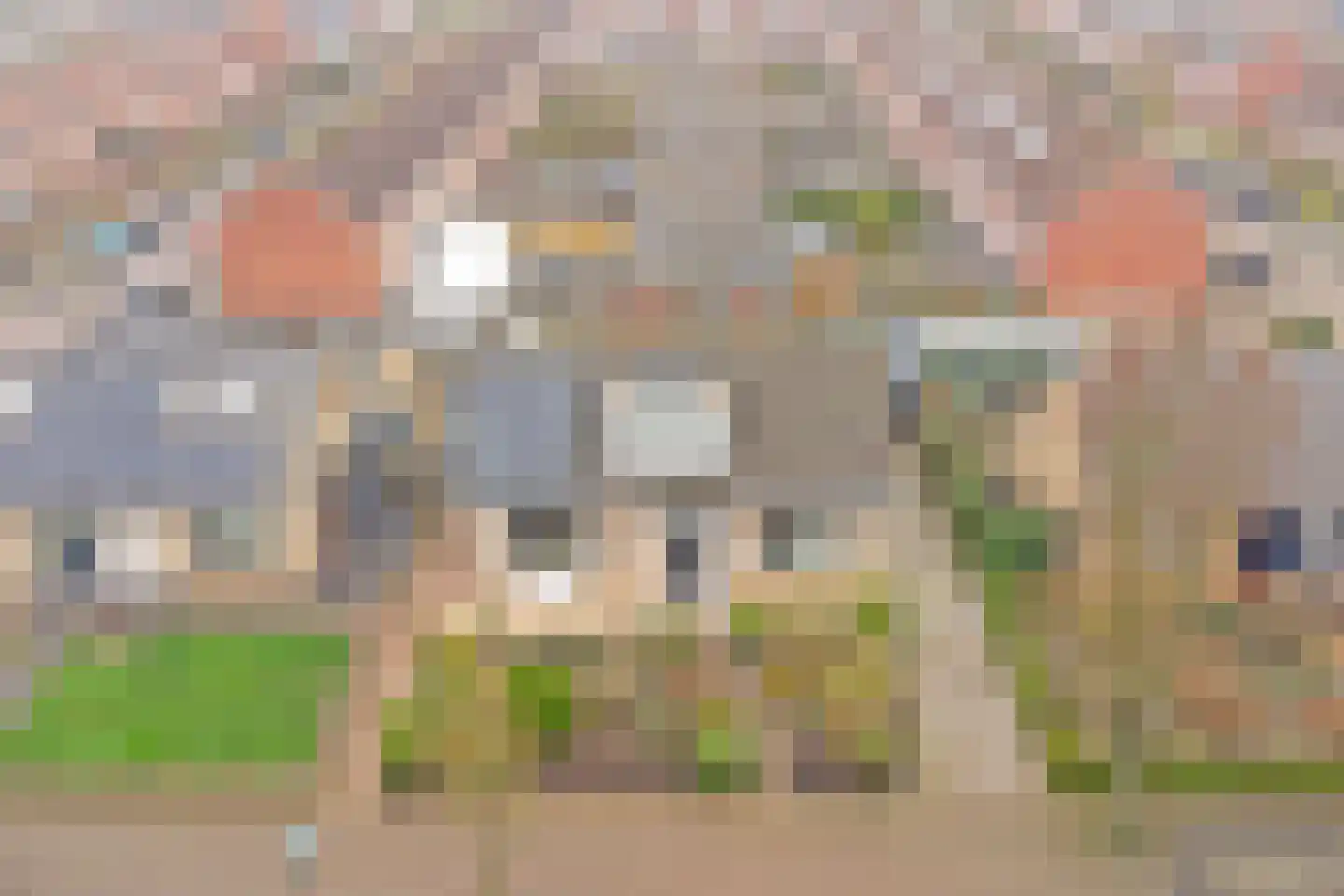Prinses Margrietstraat 3 Tholen thumbnail 38
