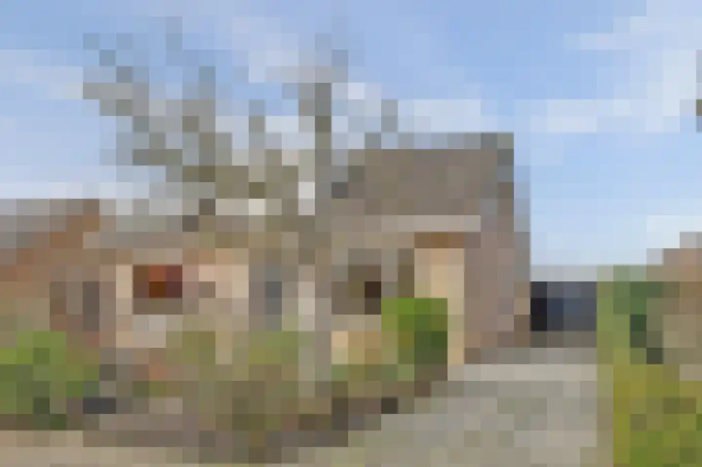 Prinses Margrietstraat 3 Tholen thumbnail 5