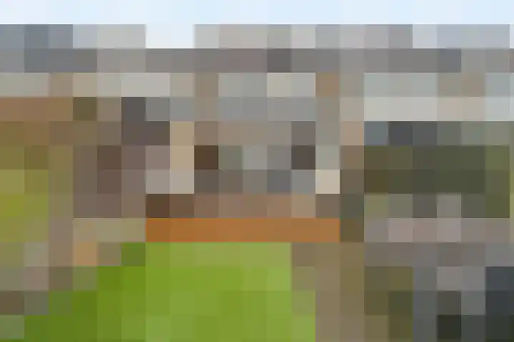 Prinses Margrietstraat 34 Waddinxveen thumbnail 4