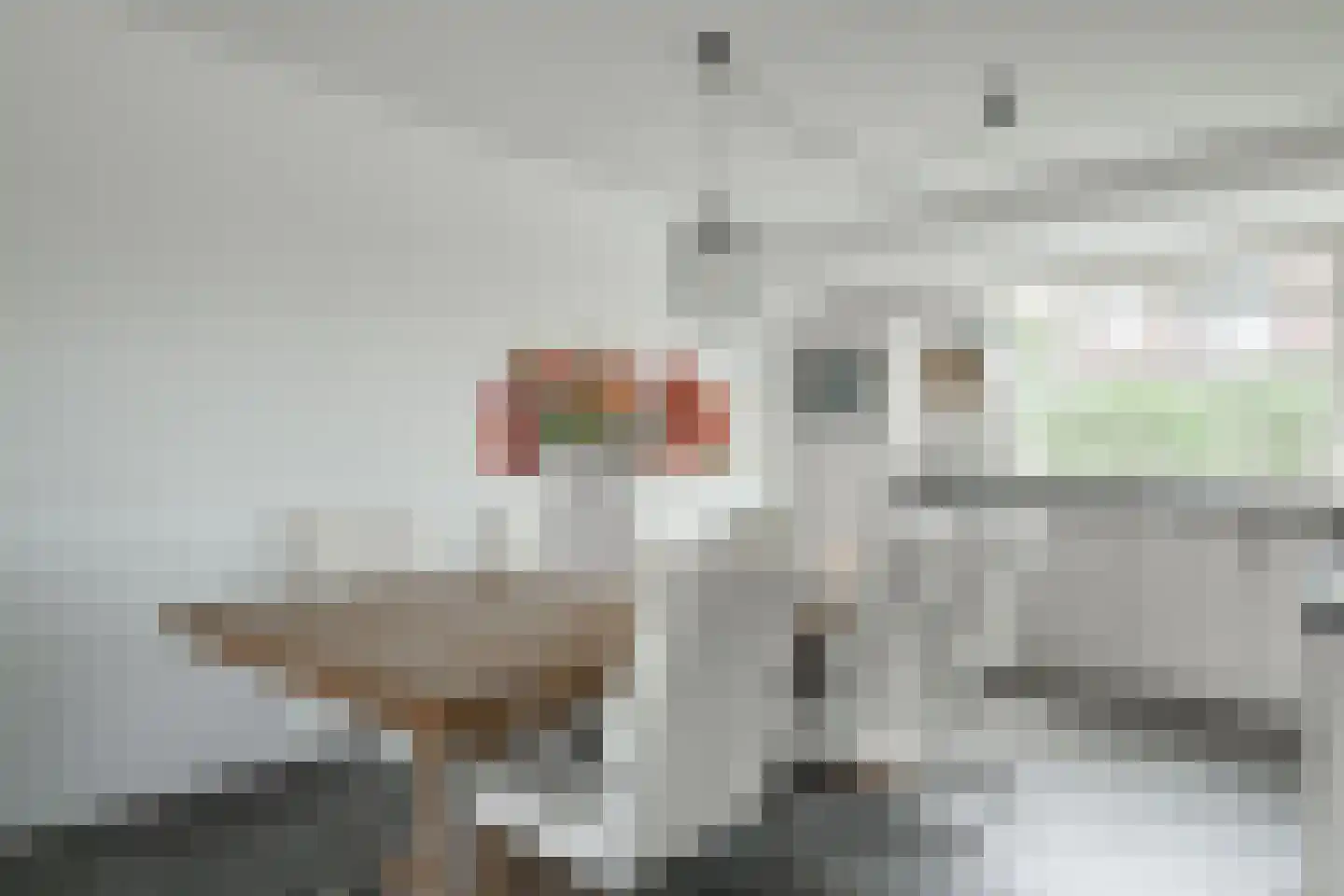 Prinses Margrietstraat 4 Silvolde thumbnail 12
