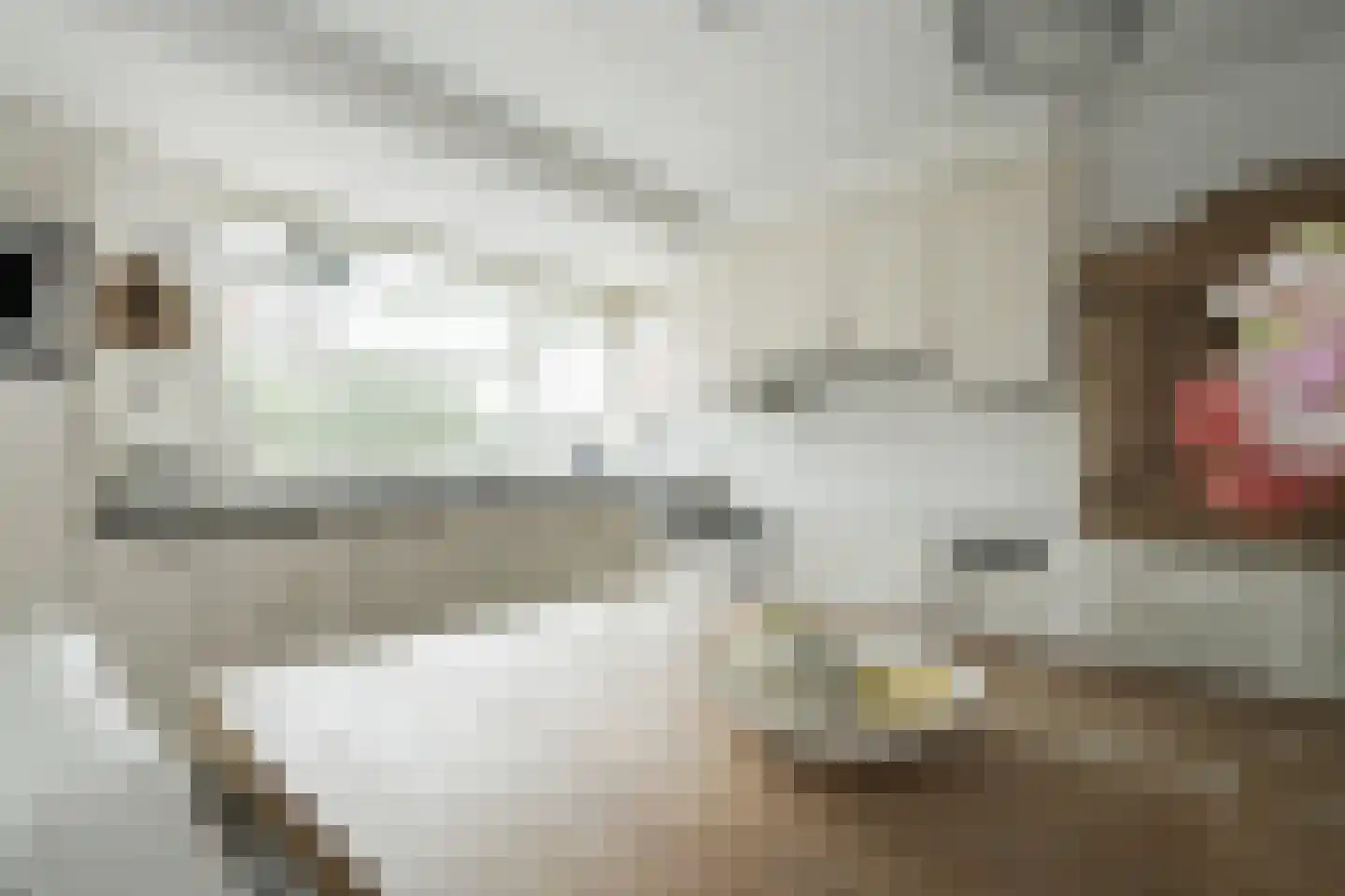 Prinses Margrietstraat 4 Silvolde thumbnail 13
