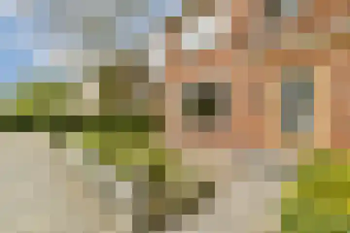Prinses Margrietstraat 43 Diemen thumbnail 8