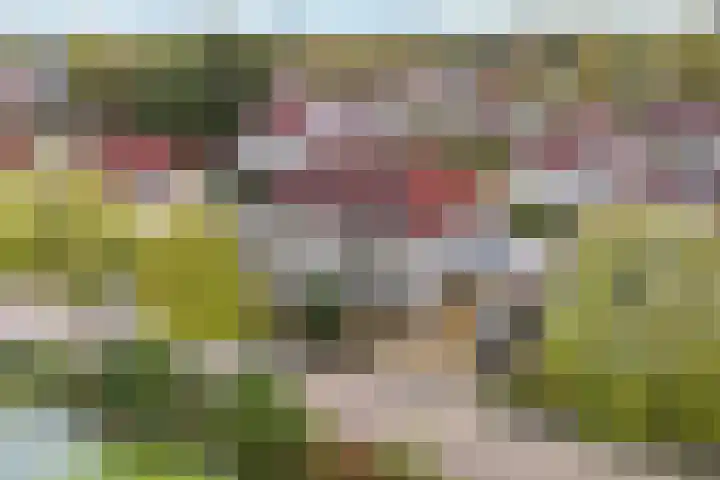 Prinses Margrietstraat 6 Burgum thumbnail 38