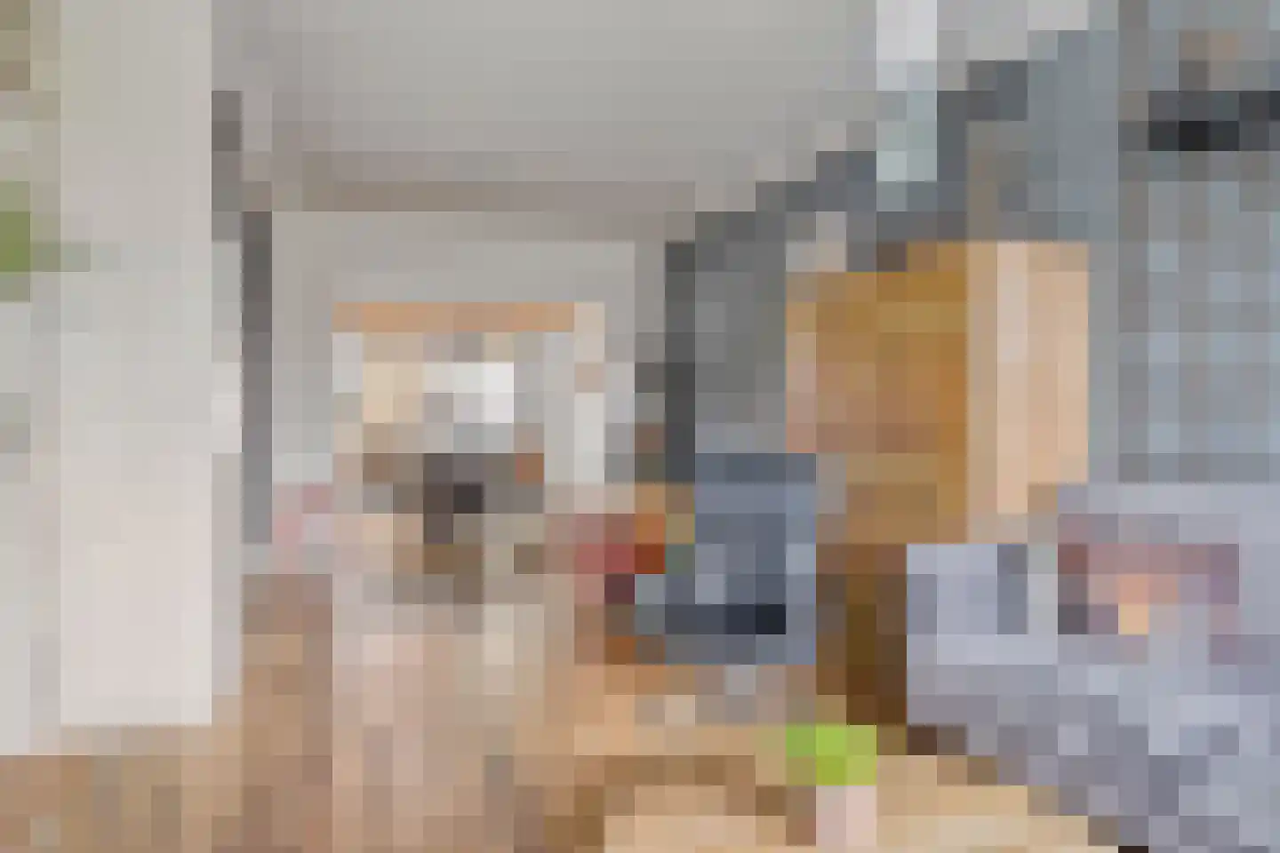 Prinses Margrietstraat 6 Hedel foto 2