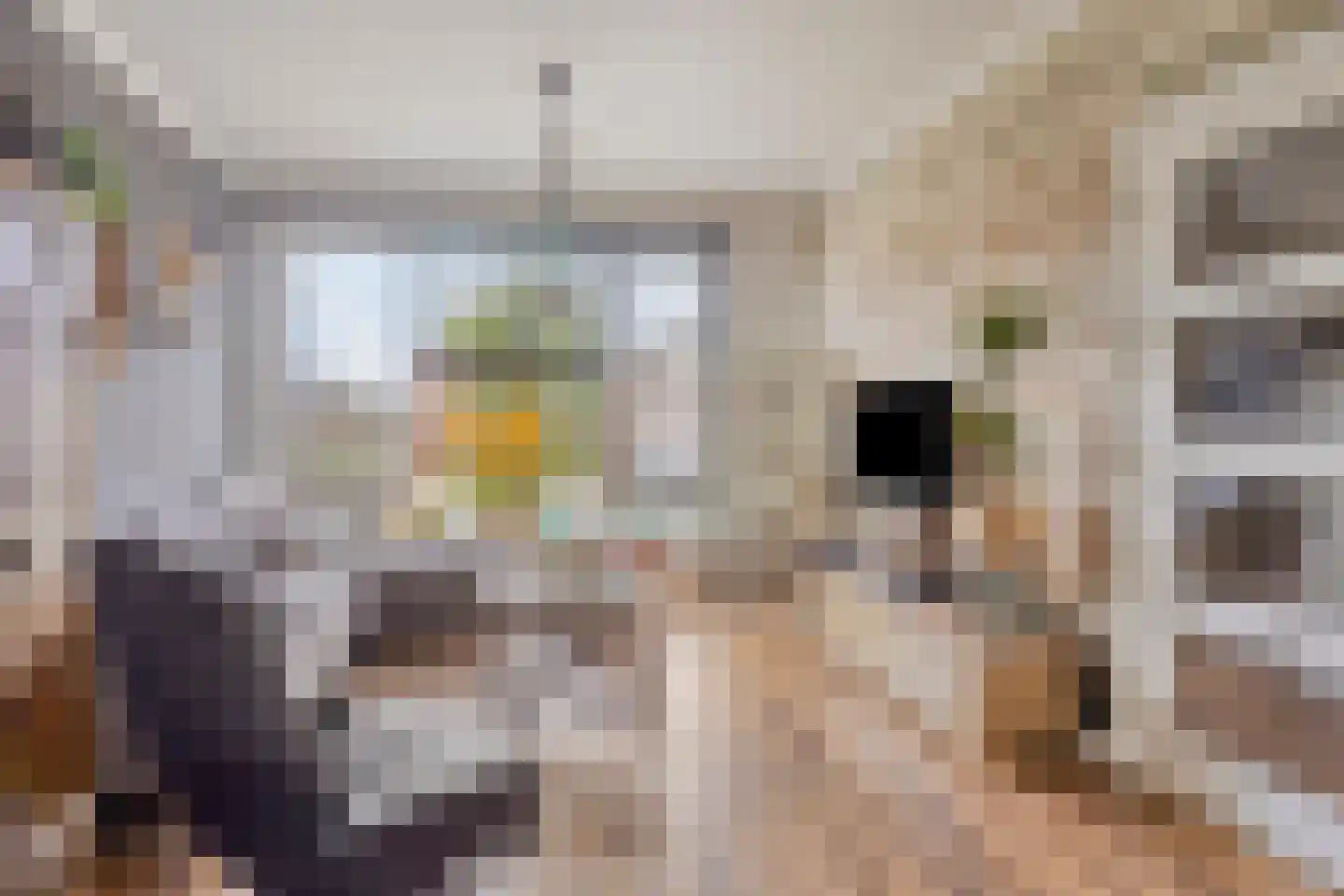 Prinses Margrietstraat 6 Hedel thumbnail 6