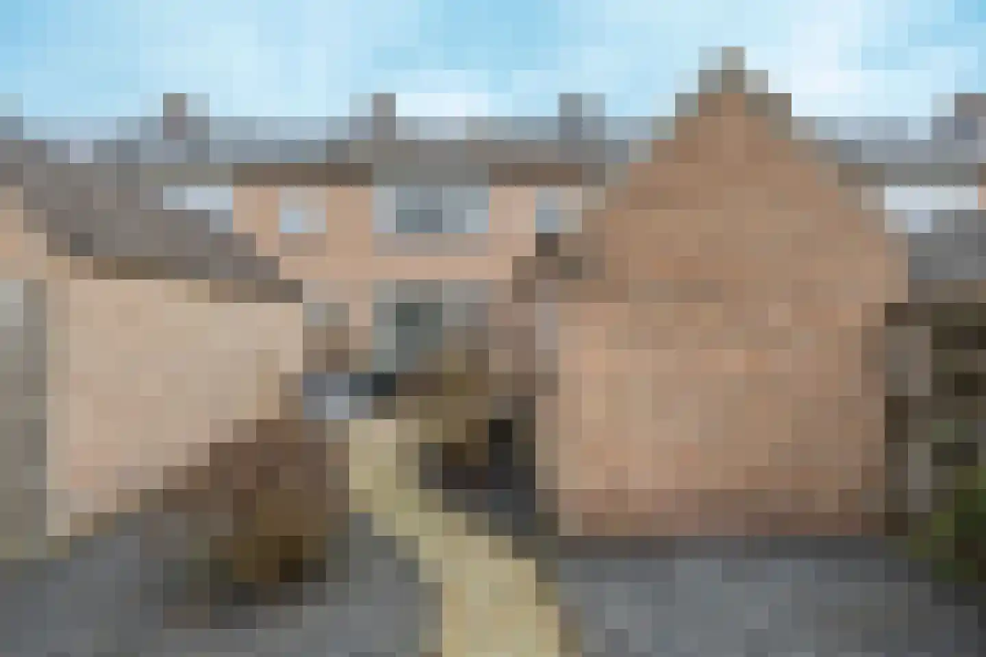 Prinses Margrietstraat 7 Andel thumbnail 5