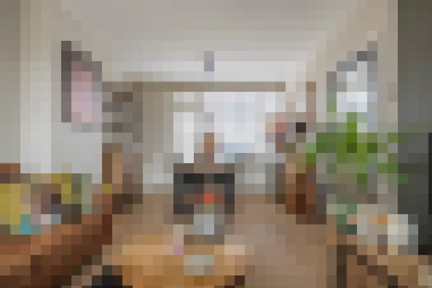 Prinses Margrietstraat 7 Andel thumbnail 7