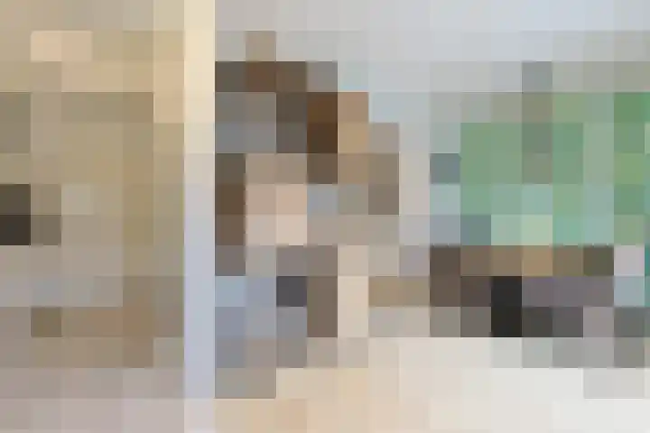 Prinses Margrietstraat 7 Koudekerk aan den Rijn thumbnail 11