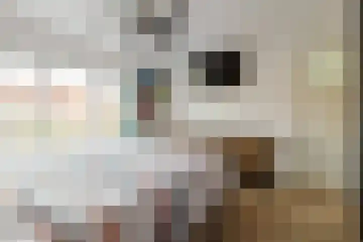 Prinses Margrietstraat 7 Koudekerk aan den Rijn thumbnail 17