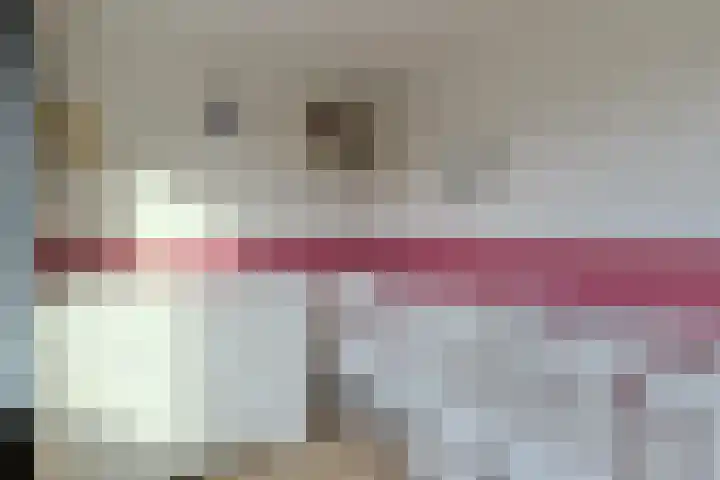 Prinses Margrietstraat 7 Koudekerk aan den Rijn thumbnail 21