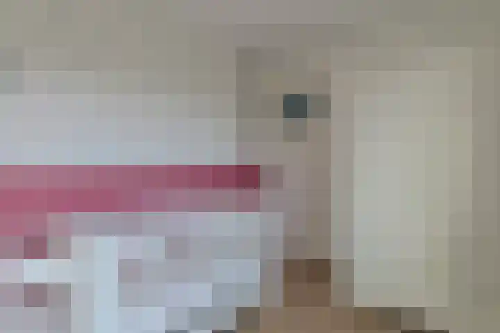 Prinses Margrietstraat 7 Koudekerk aan den Rijn thumbnail 22