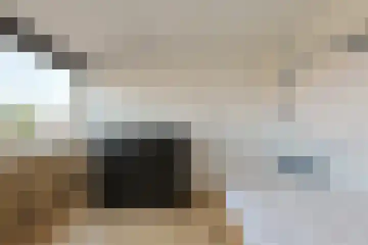 Prinses Margrietstraat 7 Koudekerk aan den Rijn thumbnail 32