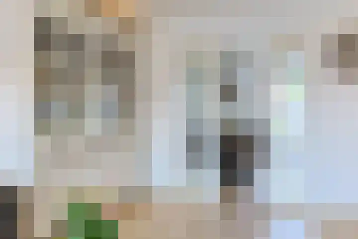 Prinses Margrietstraat 7 Koudekerk aan den Rijn thumbnail 9