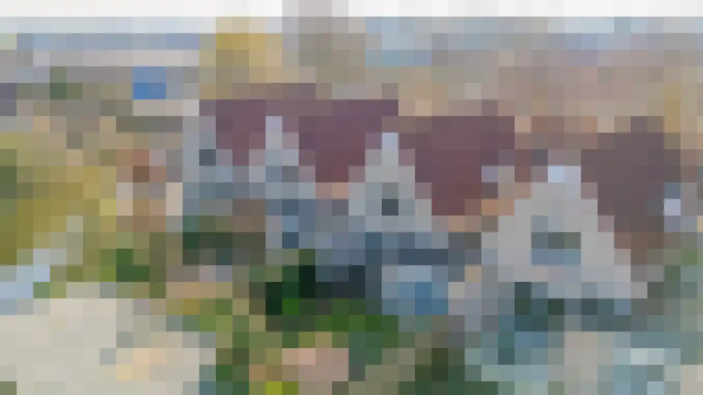 Prinses Margrietstraat 9 a Middelharnis thumbnail 36