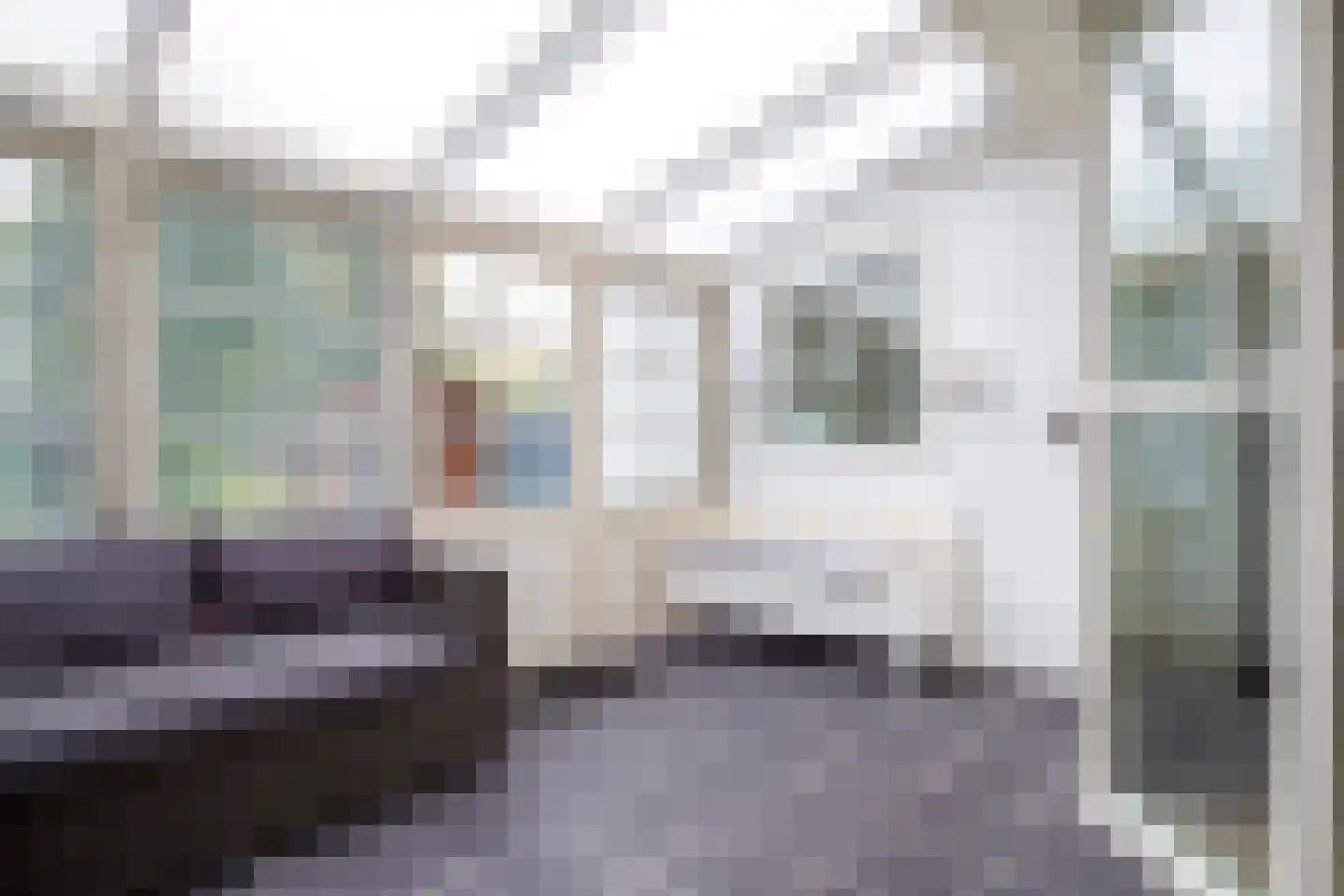 Prinses Margrietstraat 9 Genemuiden thumbnail 31