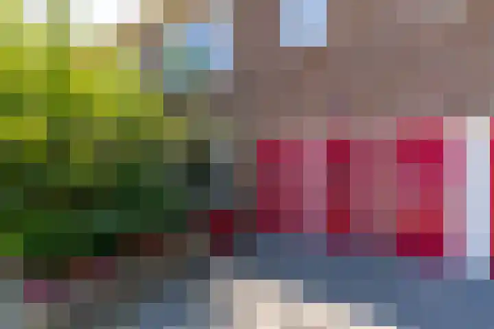 Prinses Margrietstraat 92 Utrecht thumbnail 6
