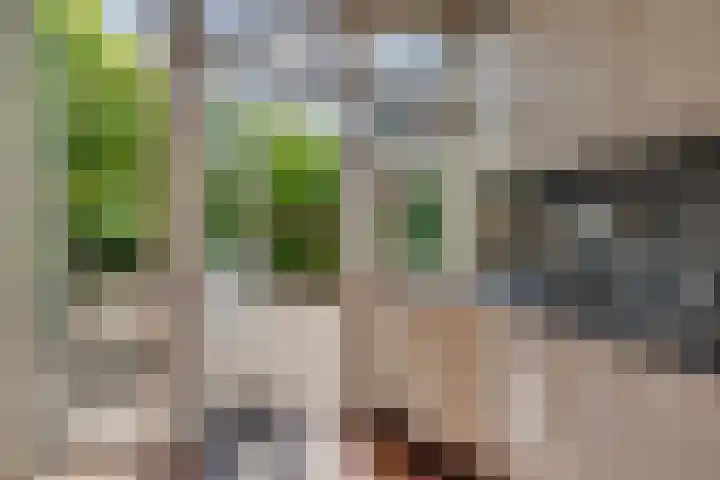Prinses Margrietweg 1 Houten thumbnail 14