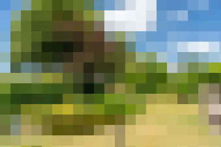 Prinses Margrietweg 1 Houten thumbnail 19