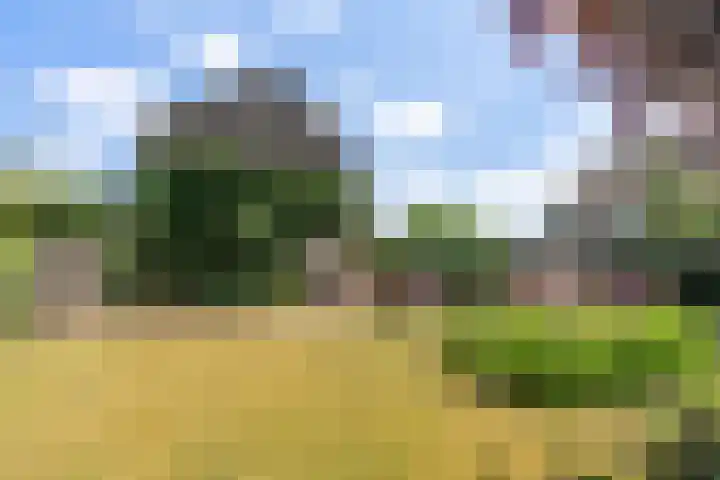 Prinses Margrietweg 1 Houten thumbnail 20