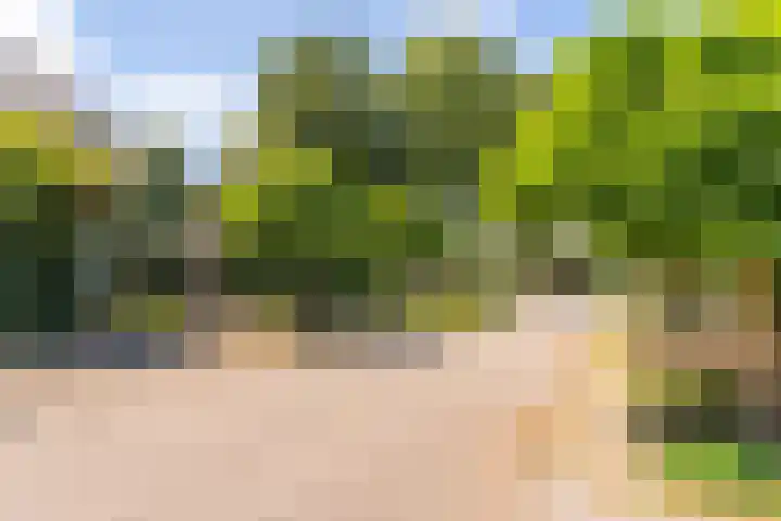 Prinses Margrietweg 1 Houten thumbnail 35