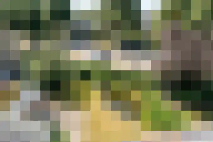 Prinses Margrietweg 1 Houten thumbnail 36