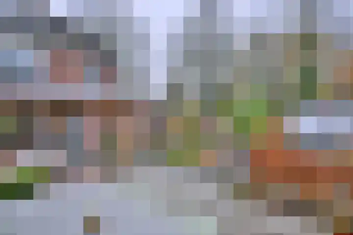 Prinses Margrietweg 10 Schalkhaar thumbnail 7