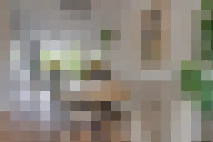 Prinses Margrietweg 3 Houten thumbnail 13