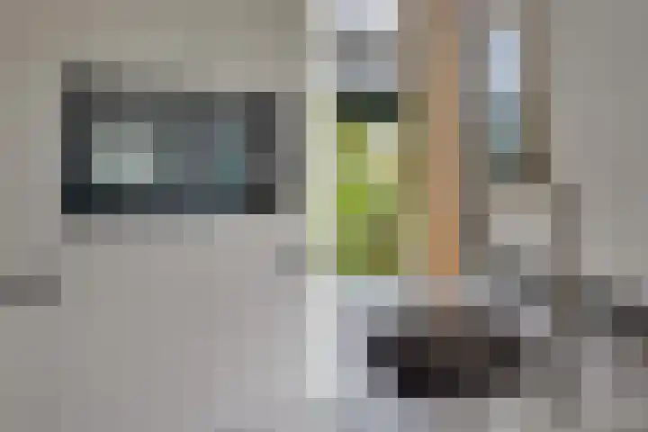 Prinses Margrietweg 3 Houten thumbnail 18