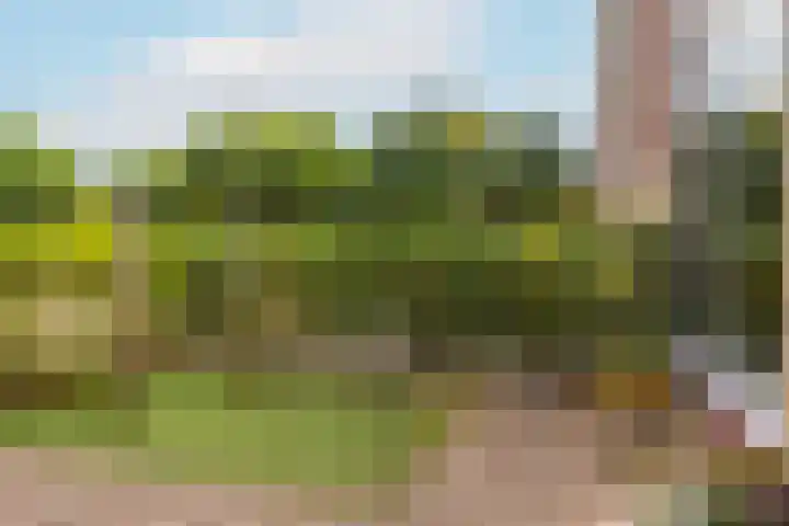 Prinses Margrietweg 3 Houten thumbnail 35