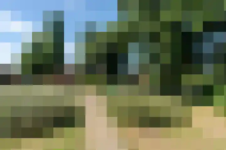 Prinses Margrietweg 3 Houten thumbnail 36
