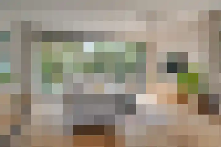 Prinses Margrietweg 3 Houten thumbnail 5