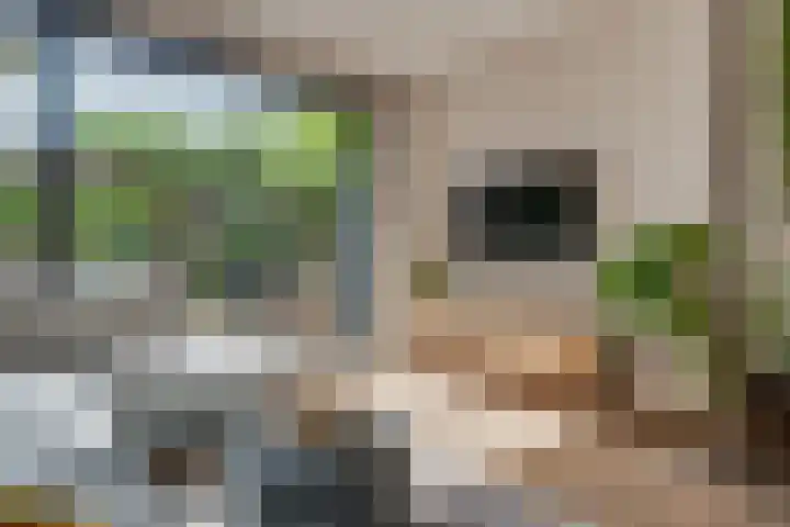 Prinses Margrietweg 3 Houten thumbnail 6