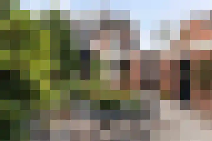 Prinses Margrietweg 6 Schalkhaar thumbnail 32
