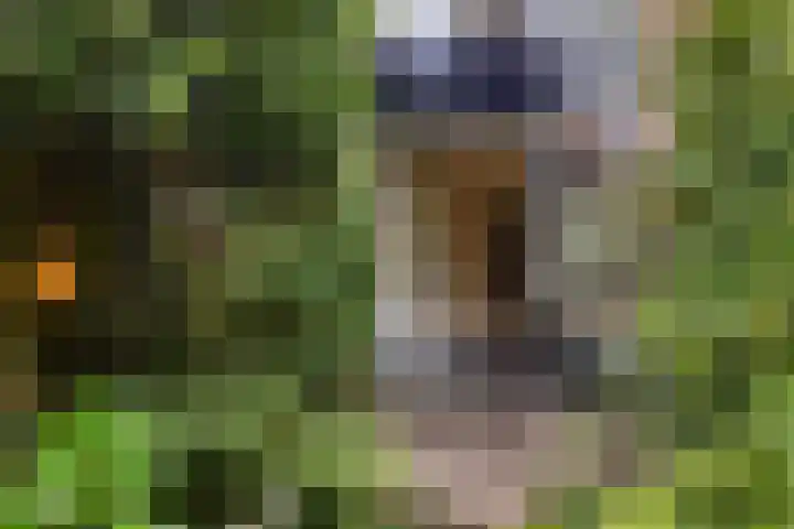 Prinses Margrietweg 6 Schalkhaar thumbnail 33