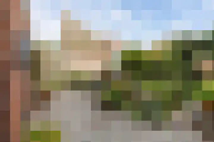 Prinses Margrietweg 6 Schalkhaar thumbnail 37