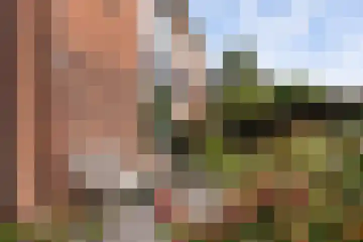 Prinses Margrietweg 6 Schalkhaar thumbnail 38
