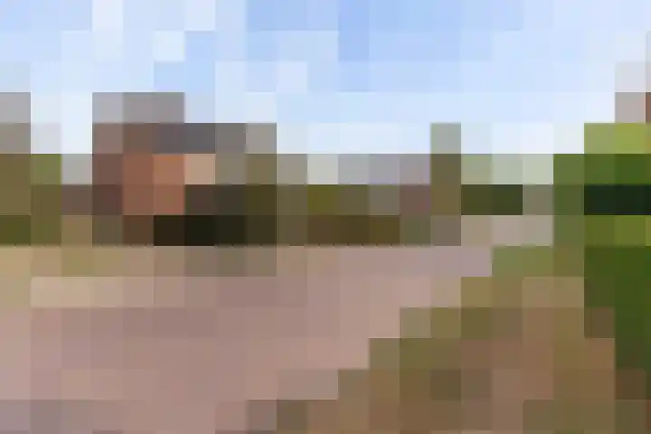 Prinses Margrietweg 6 Schalkhaar thumbnail 42